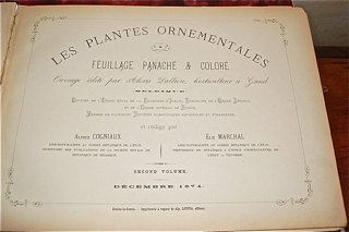 Les Plantes Ornementales. Feuillage Panache & Colore.