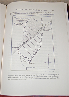 Bird Studies at Old Cape May: An Ornithology of Coastal New Jersey.