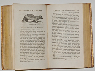 A General History of Quadrupeds. The Figures Engraved on Wood by T. Bewick