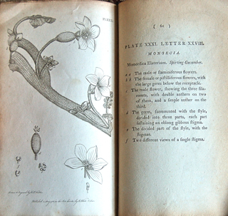 Thirty-eight Plates with Explanations; Intended to Illustrate Linnaeus's System of Vegetables, and Particularly Adapted to the Letters on the Elements of Botany.
