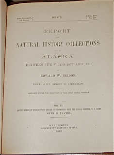 Report on the Natural History Collections Made in Alaska between the Years 1877 and 1881.
