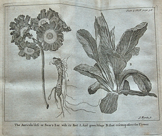 Spectacle de la Nature: or, Nature Displayed. Being Discourses of such Particulars of Natural History as Were Thought Most Proper to Excite the Curiosity and Form the Minds of Youth.