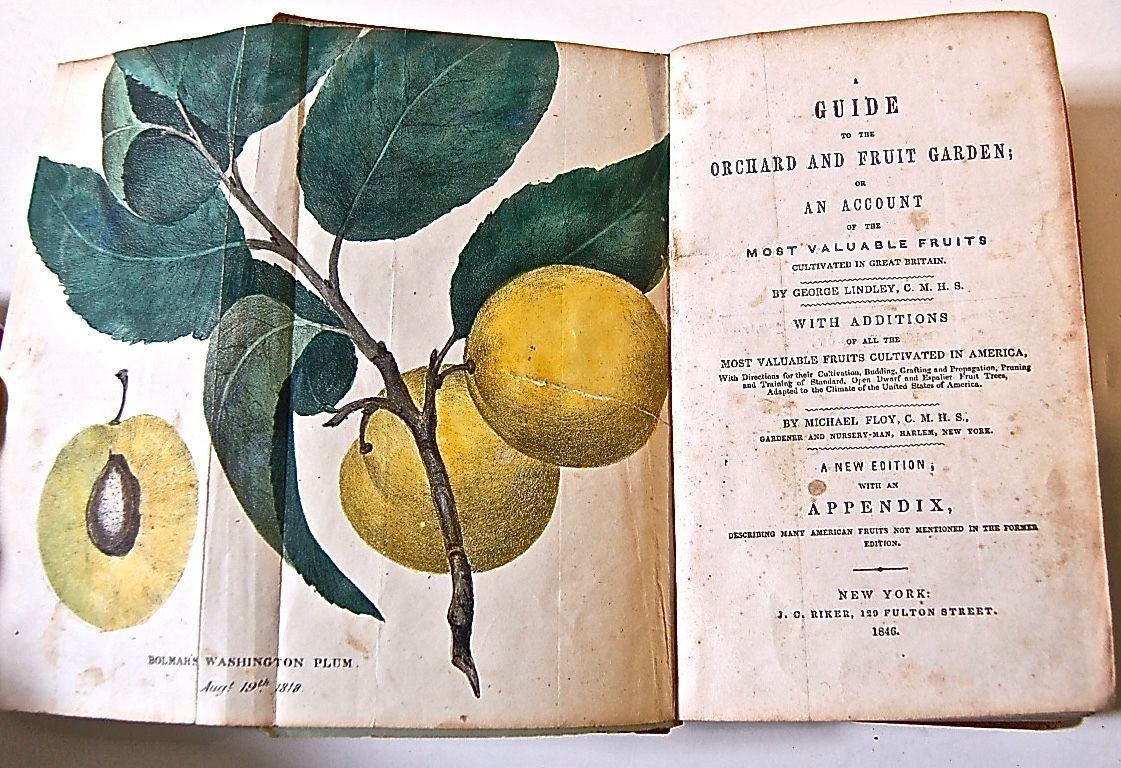A Guide to the Orchard and Fruit Garden, or an Account of the Most Valuable Fruits Cultivated in Great Britain...with Additions of All the Most Valuable Fruits Cultivated in America. 