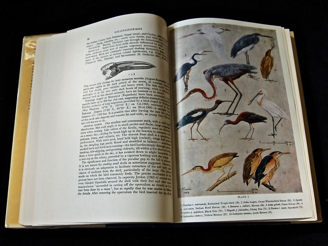 Handbook of the Birds of India and Pakistan, together with those of Nepal, Sikkim, Bhutan, and Ceylon. 