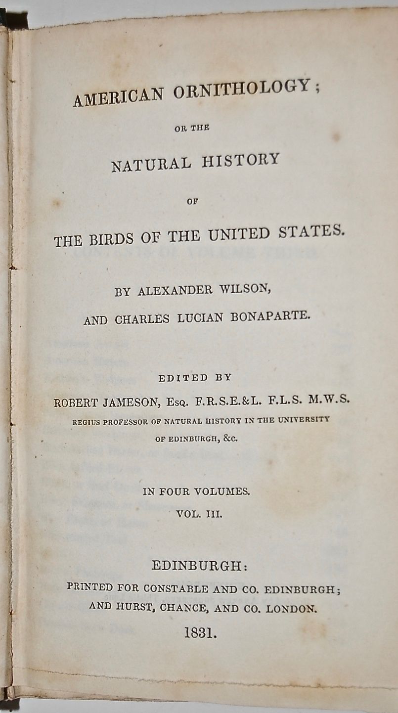 American Ornithology; or the Natural History of the Birds of the United States.  Volume III. 