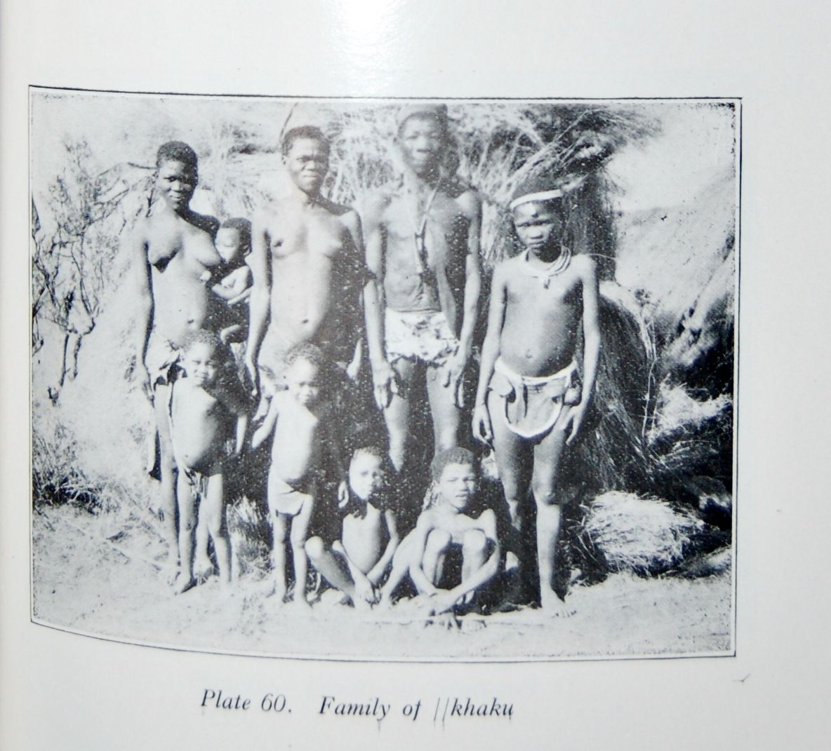  Bushmen of the Southern Kalahari. Papers reprinted from Bantu Studies… together with some additional material. 