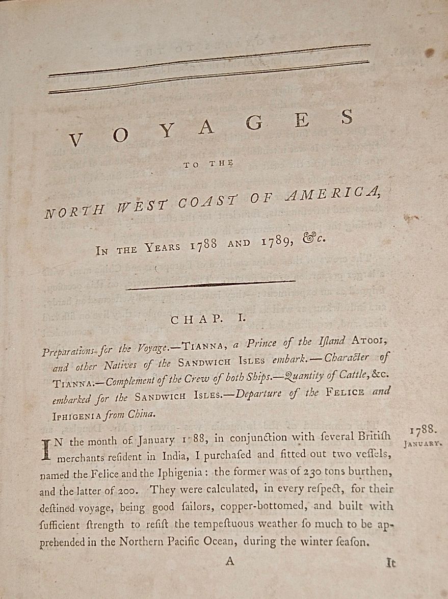 9466e560adca21609b4ea5d072773a2e979d.jpg