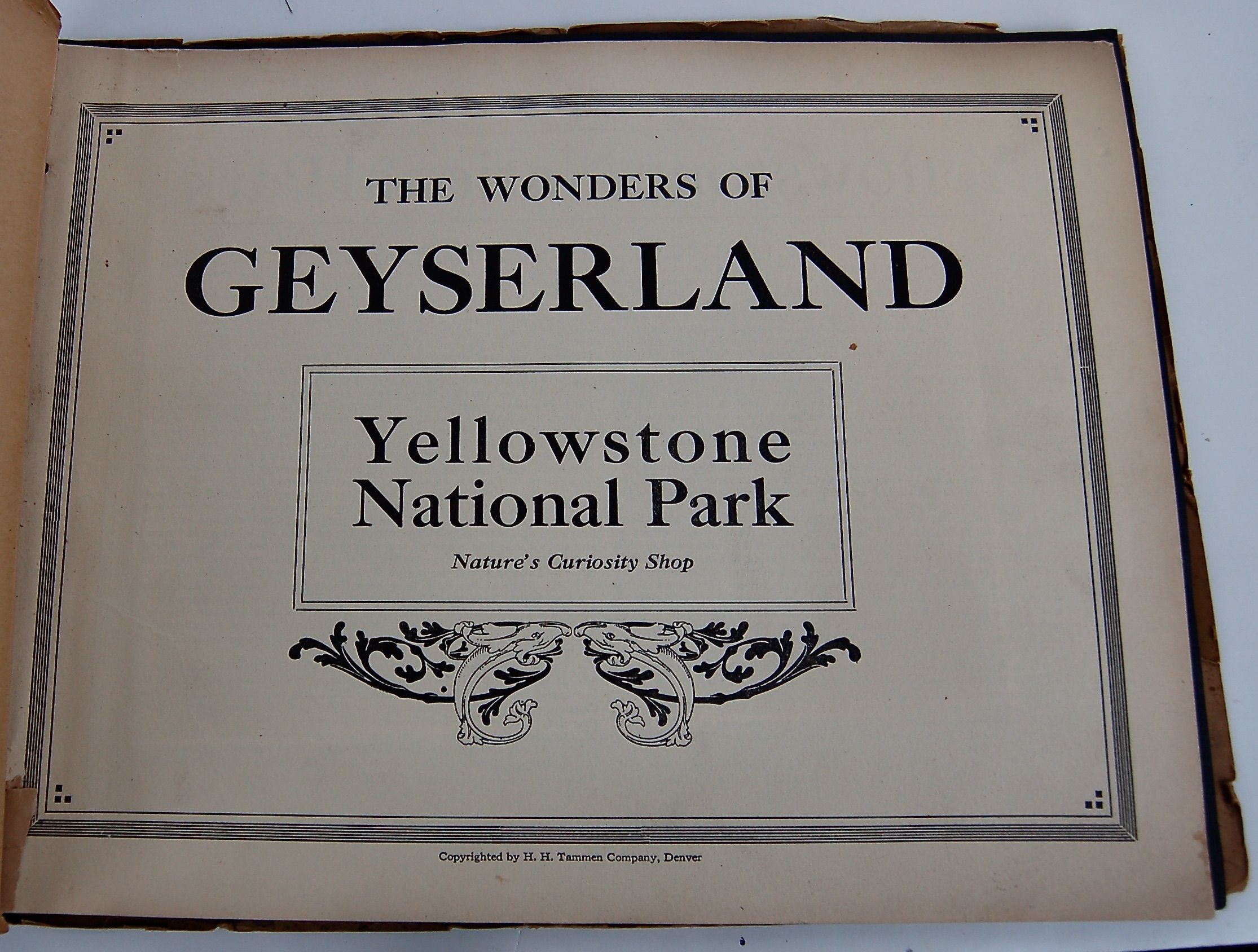 The Wonders of Geyserland, Yellowstone.